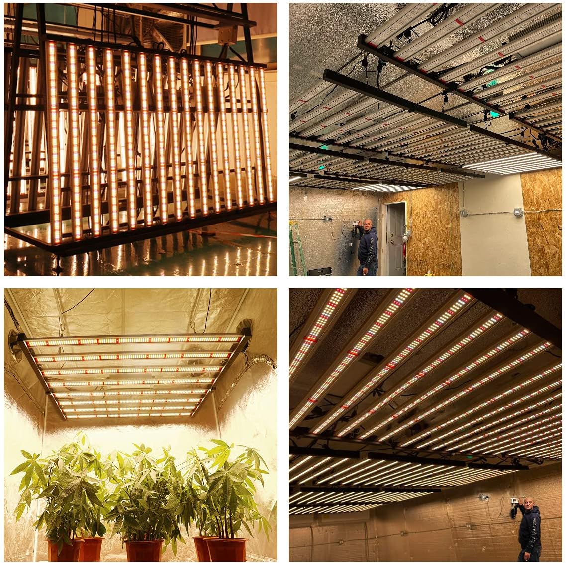450W/650W PHILZON LED 6-Bar Grow Light: Full Spectrum SMD LM281B Diodes, Dimmable, Foldable Frame