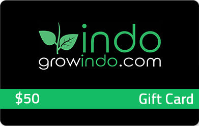 Indo Gift Cards