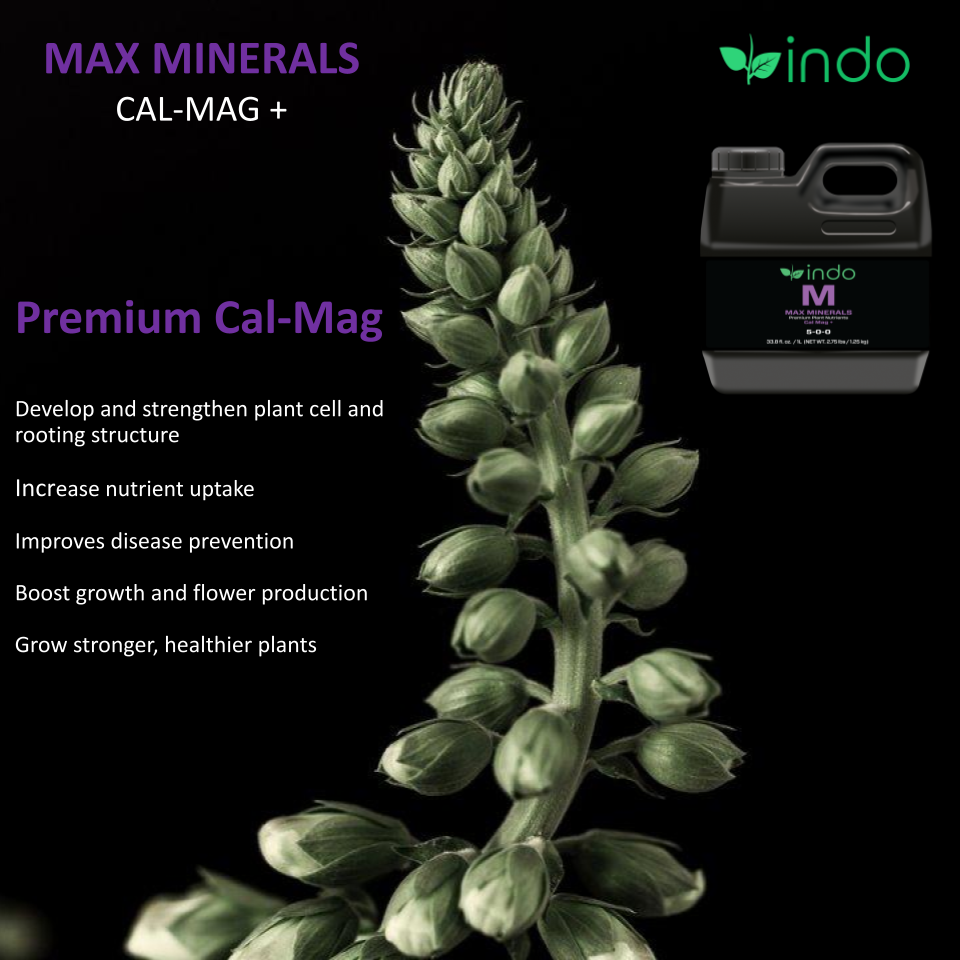 MAX Minerals Cal-Mag: Calcium, Magnesium and Iron - Unique chelated Solution for Maximum Nutrient Uptake