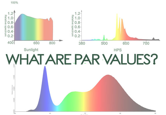 What are PAR values?