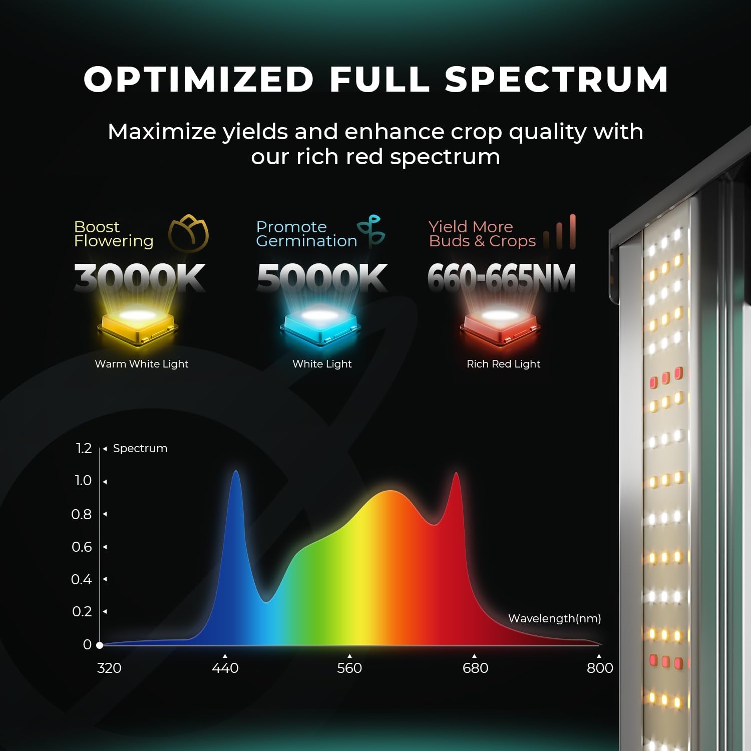 150W LED BAR Grow Light: Premium Samsung LM301H EVO Dimmable Full Spectrum Daisy Chain - Ideal 2'x2'