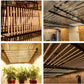 450W/650W PHILZON LED 6-Bar Grow Light: Full Spectrum SMD LM281B Diodes, Dimmable, Foldable Frame