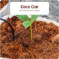 Premium Coco Coir Brick 4.5KG (10lbs) - 100% Organic OMRI Listed, Natural Compressed Growing Medium, ECO Friendly and Triple Washed, Low EC  