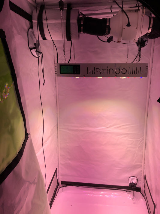 Complete Grow Kit 33X600 - 36"x36"x72" Grow Tent - 600W GrowHub Light with 4" Fan and Filter Kit