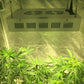 Complete Grow Kit 48"x48"x80" 1680D grow tent-600W CREE 6-COB plus LED - 6" Fan and Filter - Full Nutrient Starter Pack