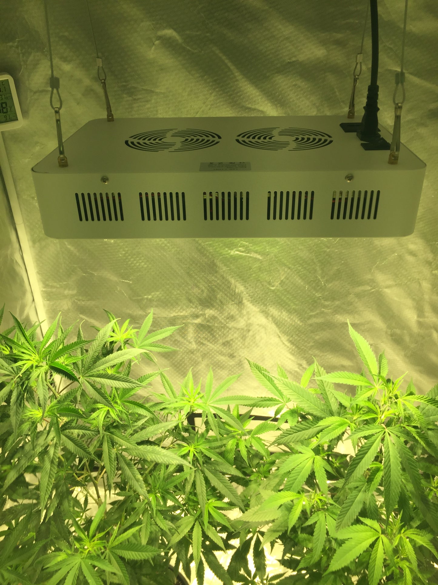 Complete Grow Kit 48"x48"x80" 1680D grow tent-600W CREE 6-COB plus LED - 6" Fan and Filter - Full Nutrient Starter Pack