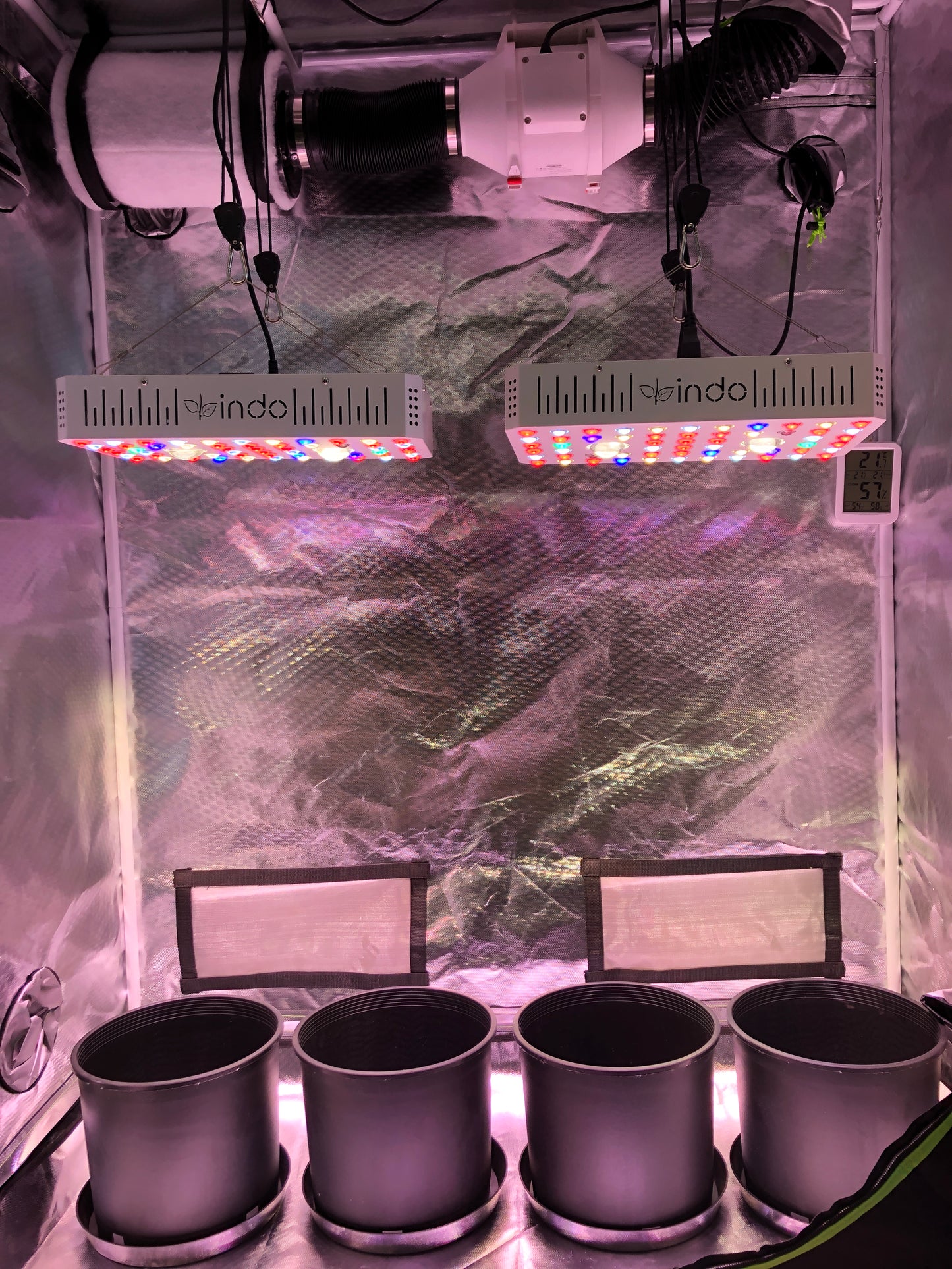 Complete Grow Kit - 48"x24"x63" 1680D Grow Tent- DUAL LIGHT 2 x 200W CREE COB + LED with Veg & Bloom Switch -4" Fan and Filter - Nutrient 3-Pack with pH Kit