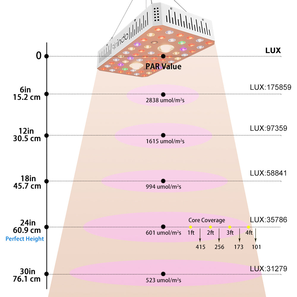 Veg & Bloom LED Grow Lights CREE COB Plus Extra Diodes for High Intensity