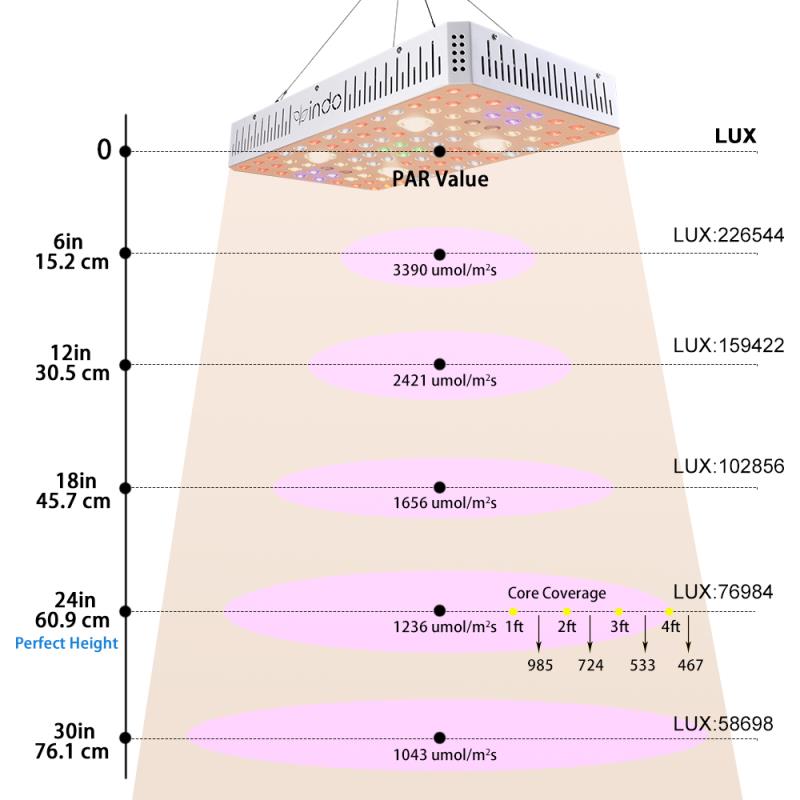 Veg & Bloom LED Grow Lights CREE COB Plus Extra Diodes for High Intensity