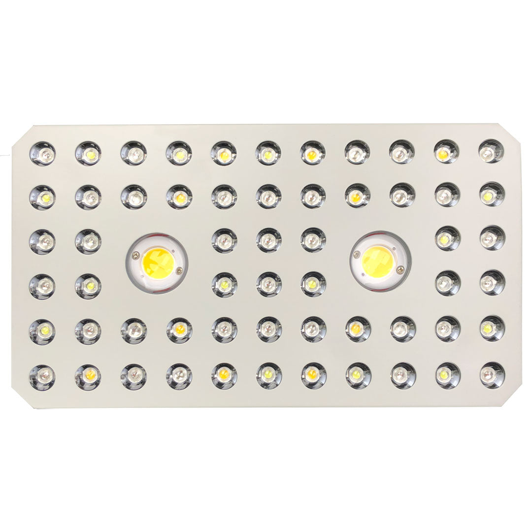 Veg & Bloom LED Grow Lights CREE COB Plus Extra Diodes for High Intensity