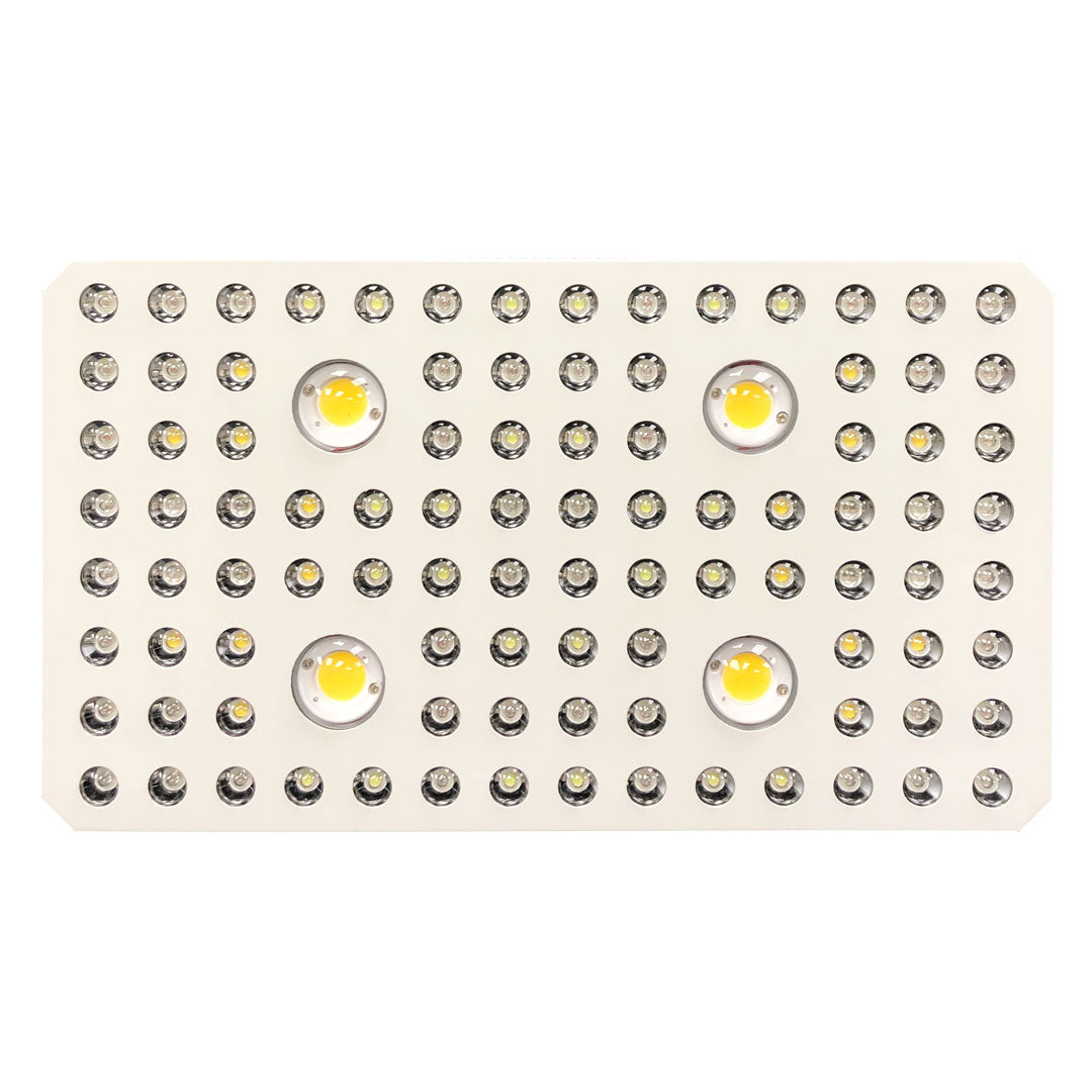 Veg & Bloom LED Grow Lights CREE COB Plus Extra Diodes for High Intensity