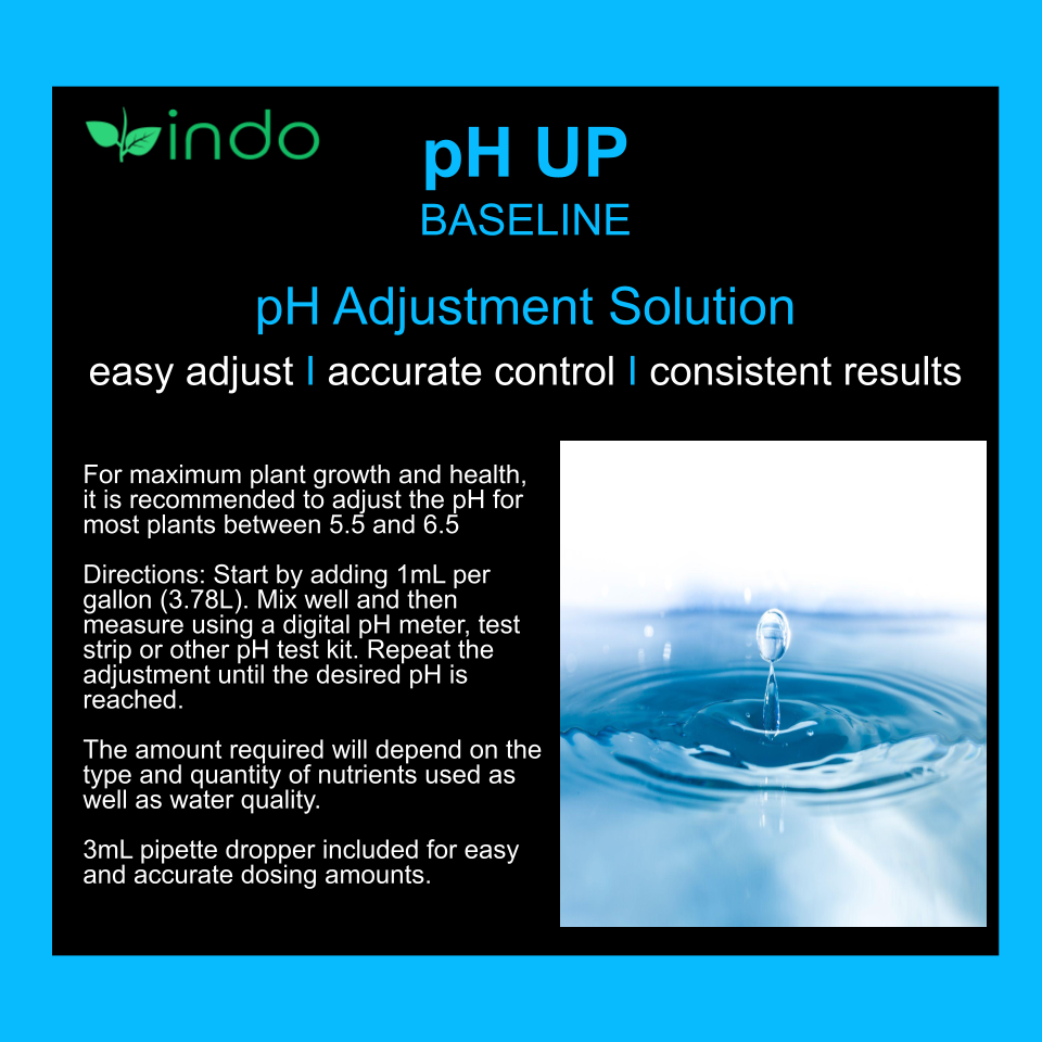 pH UP BASELINE: Adjust and Maintain Optimal pH Levels for Plant Nutrients